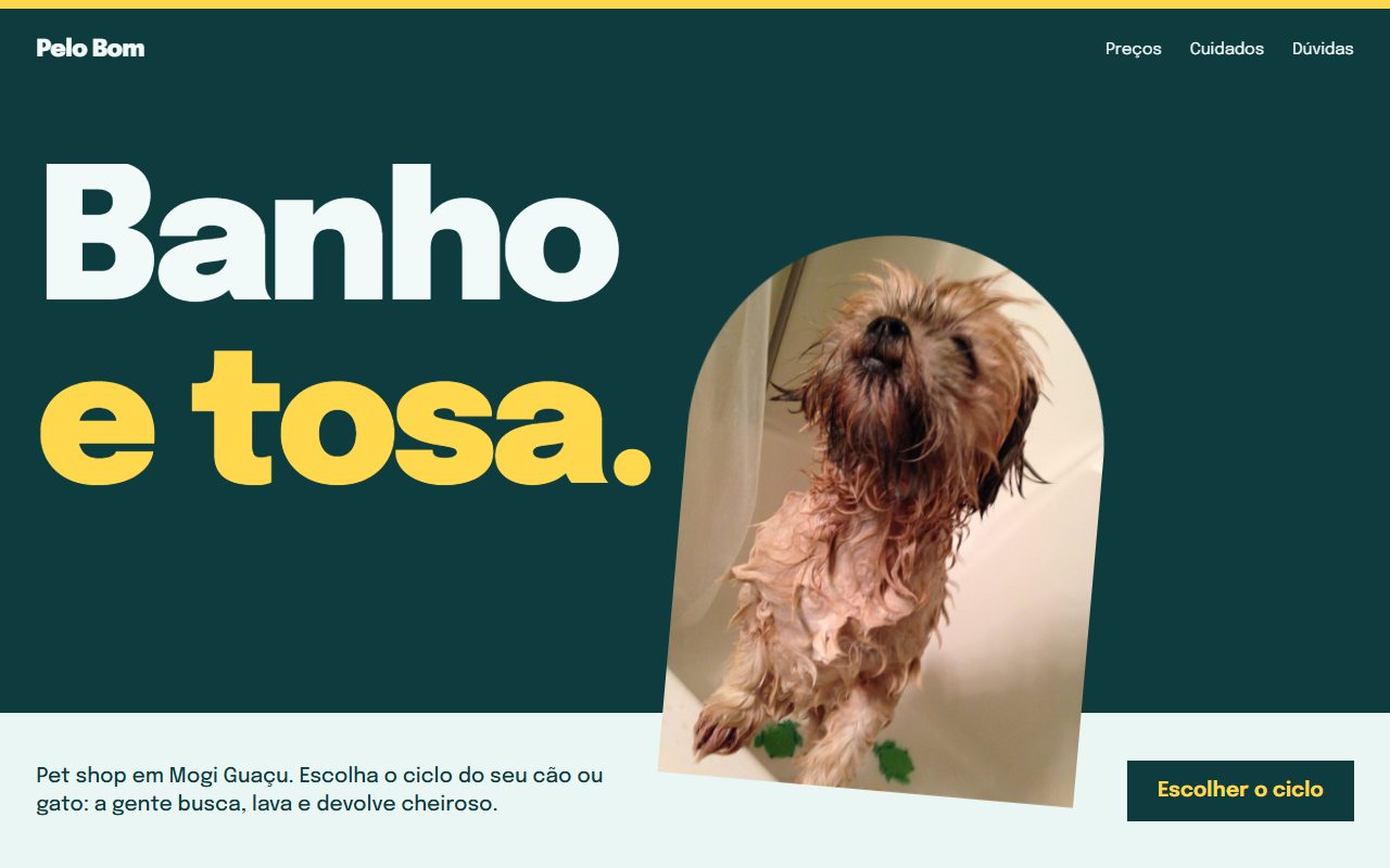 Tela do site Pelo Bom Banho e Tosa no computador