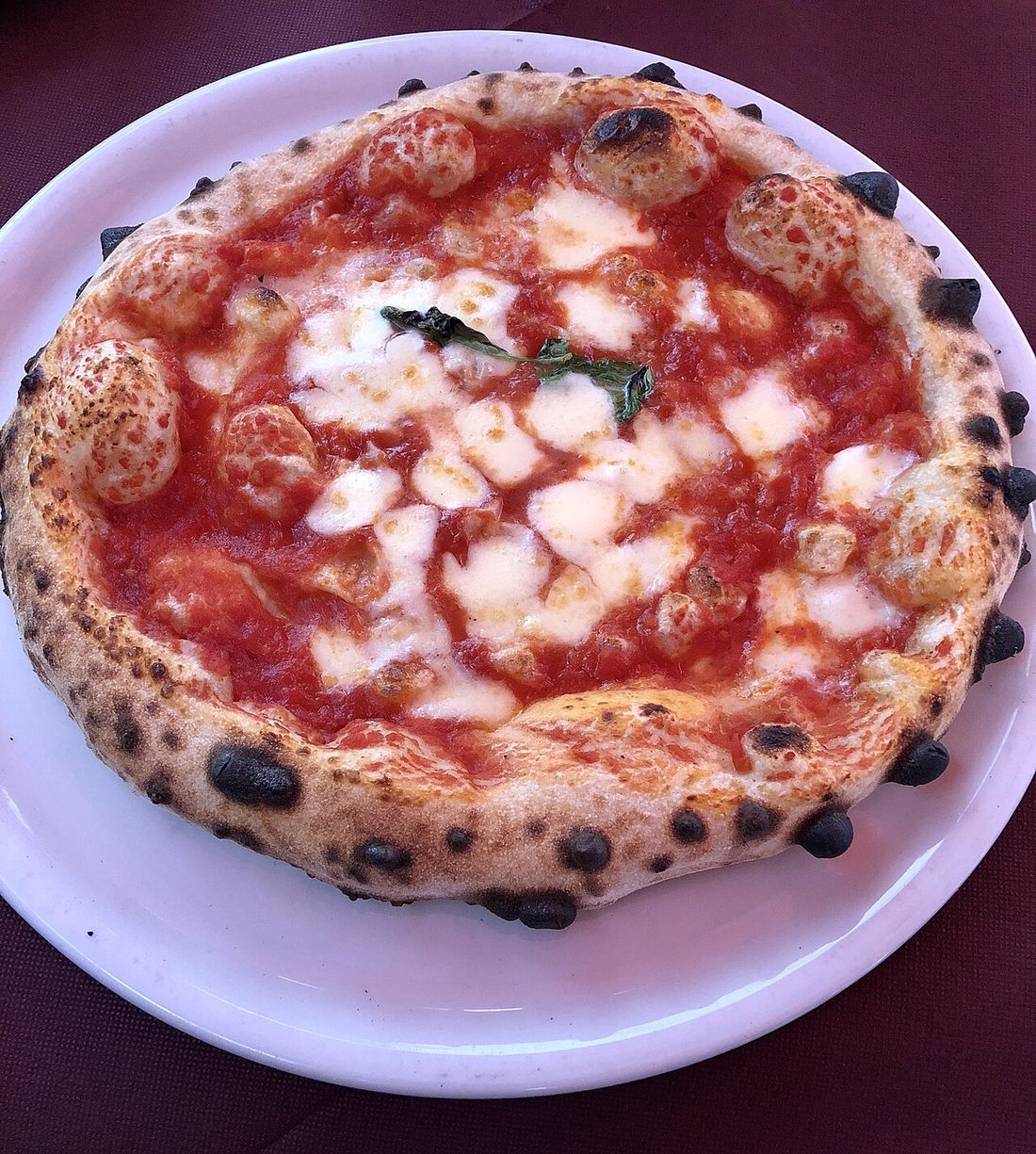 Pizza napolitana num prato branco