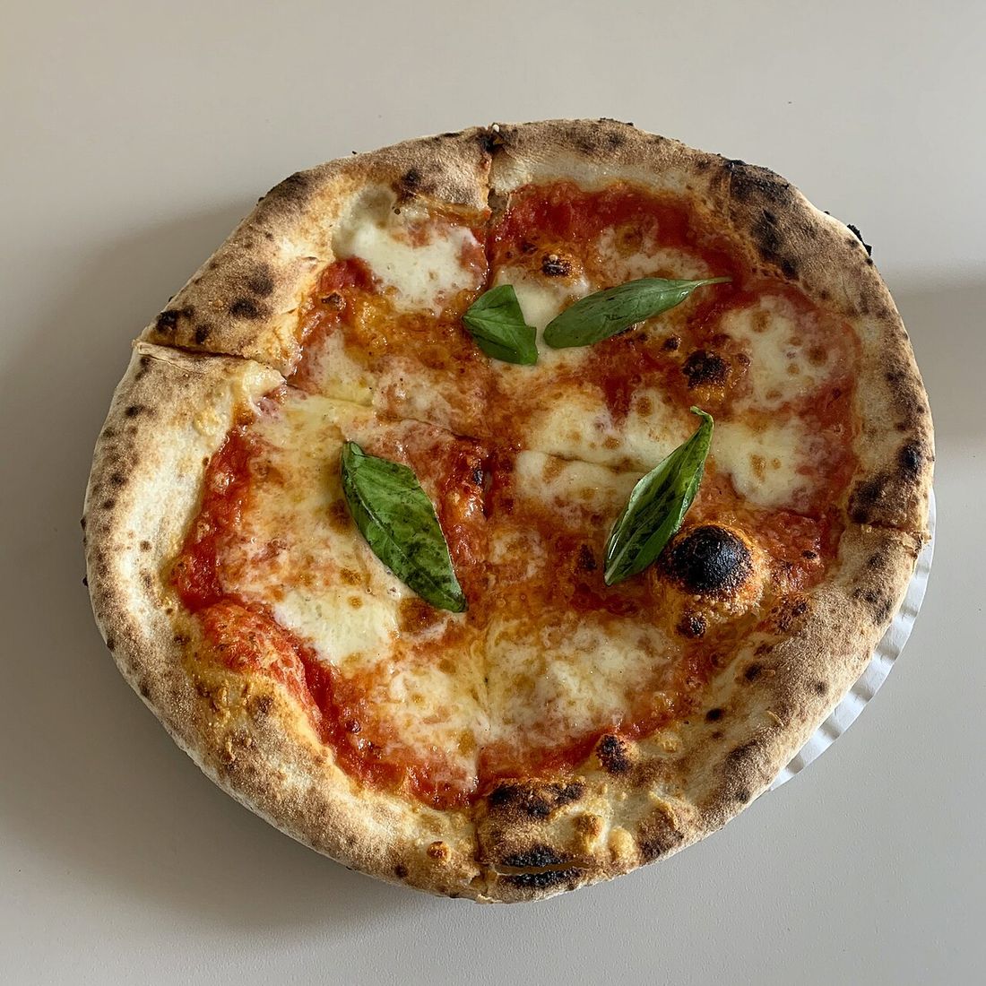 Pizza napolitana com folhas de manjericão sobre fundo claro